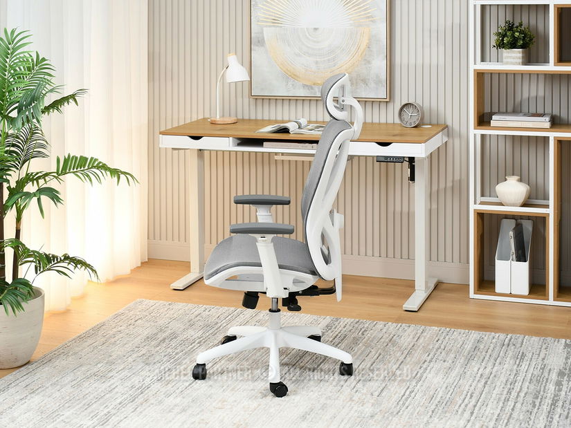 Kancelářské křeslo Derenis (šedá + bílá)