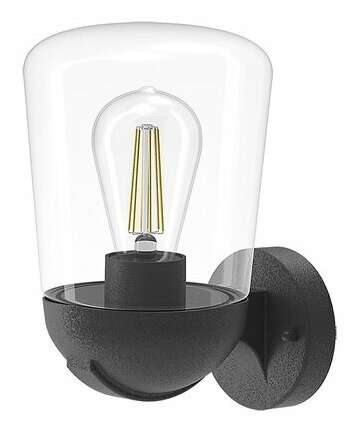 Venkovní nástěnné svítidlo Mizil (průhledná + matná černá)