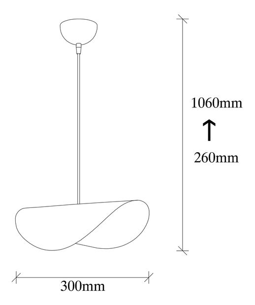 Stropní svítidlo Síla 829