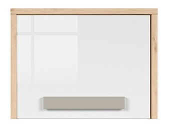 Závěsná skříňka BRW Namek SFW1D