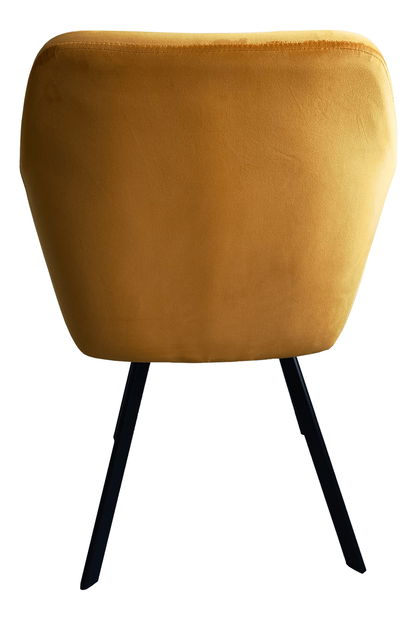 Jídelní židle Zevas (hořčičná + černá)