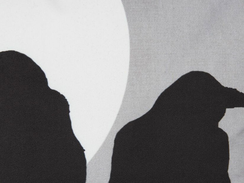 Sada 2 ozdobných polštářů 45 x 45 cm Oredo (šedá)