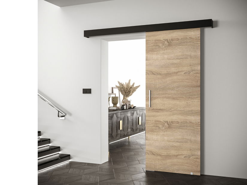 Posuvné dveře 90 cm Sharlene I (dub sonoma + černá matná + stříbrná)