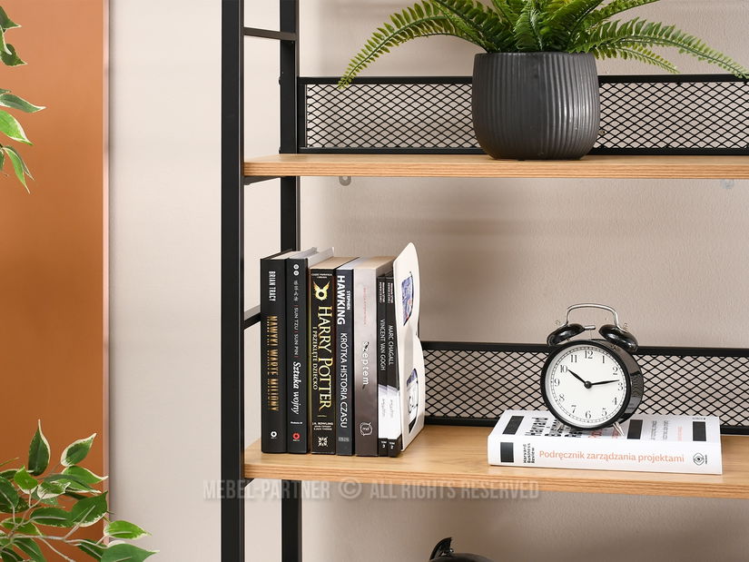 Regál Danube C (dub + černá)