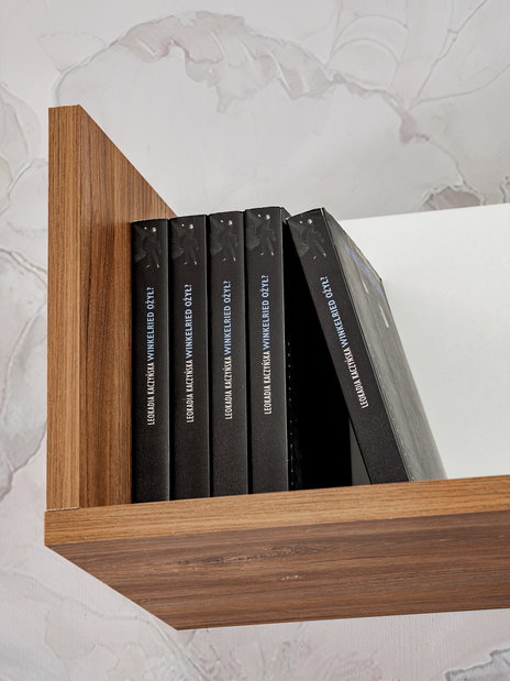 Obývací stěna s elektrickým krbem Donberry E (dub sterling + bílá matná)