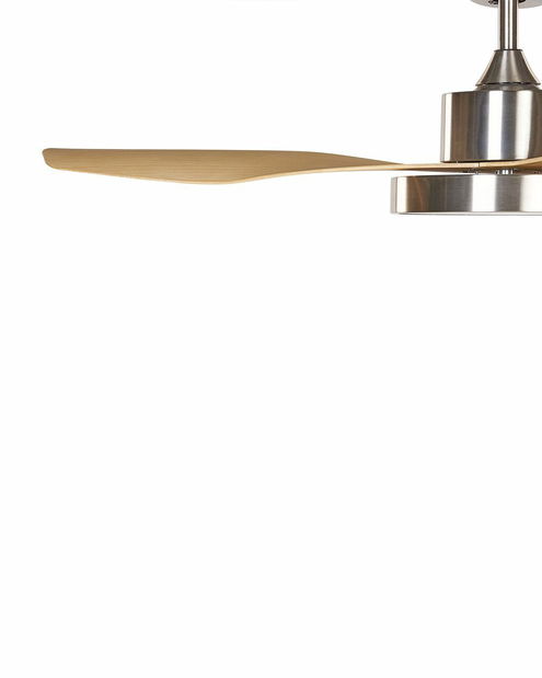 Stropní ventilátor se světlem Brunilda (stříbrná)