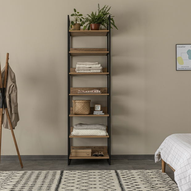 Šatní skříň David 44 (atlantická borovice)