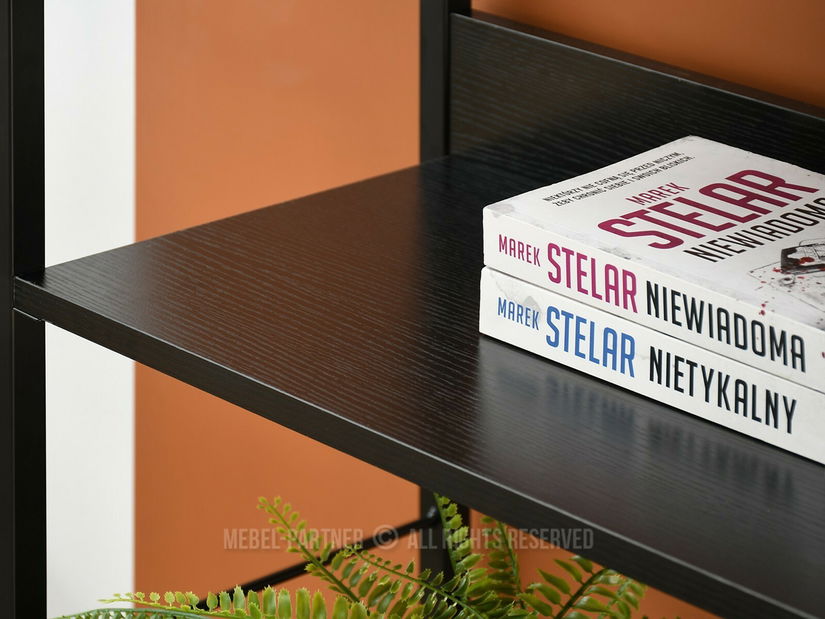 Regál Luca (černé dřevo + černá)