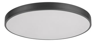 Stropní svítidlo Agard 3314 (černá matná)