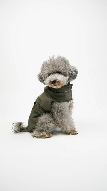 Bunda pro psa Shotly (vícebarevné) (S)