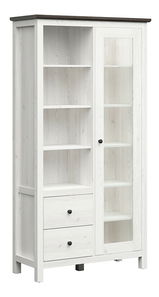 Vitrína BRW Hesen REG1W2S/20/11 (s LED osvětlením) (modřín sibiu světlý + borovice larico)