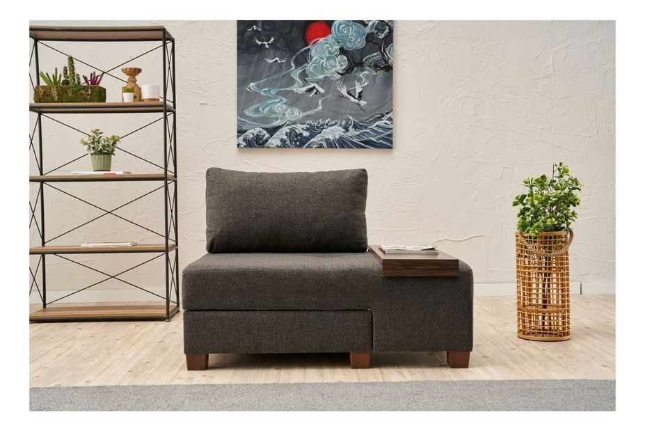 Rozkládací křeslo Perenilla L (P) (antracit + ořech)