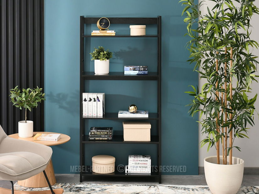 Regál Noel (černé dřevo + černá)