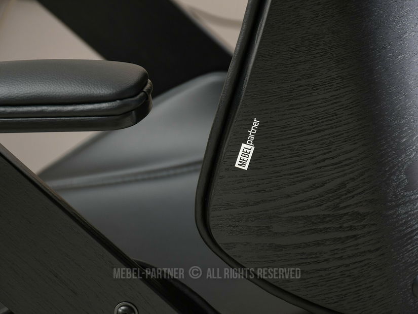 Kancelářské křeslo Frankovstain (černá)