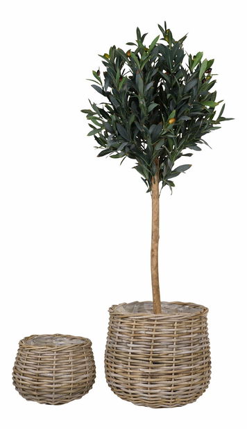 Set 2 ks proutěných květináčů Pvadina (hnědá)