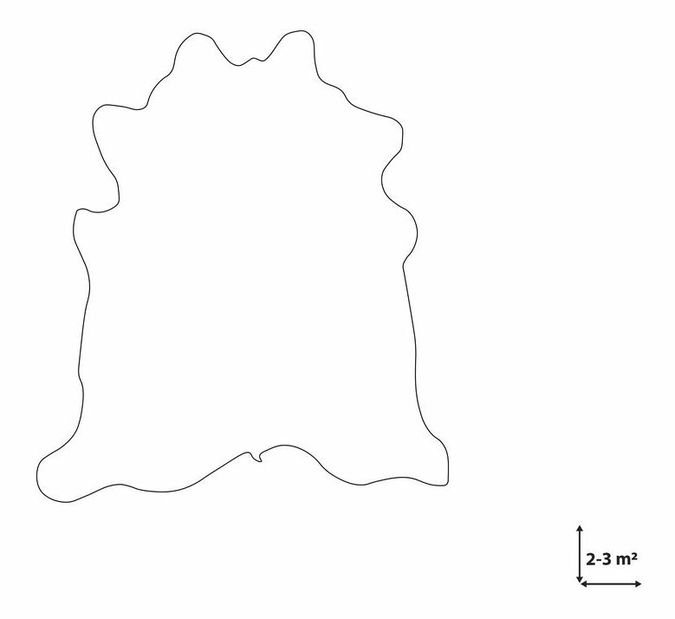 Koberec z hovězí kůže 3-4 m² Nasku (tmavě hnědá)