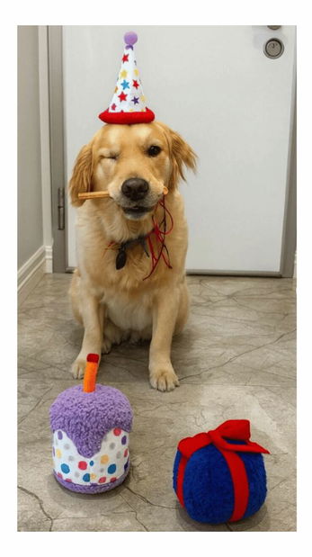 Hračka pro psa Havia (vícebarevná) 2