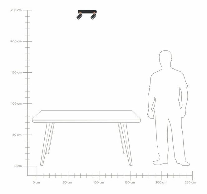 Stropní svítidlo Killi (černá)