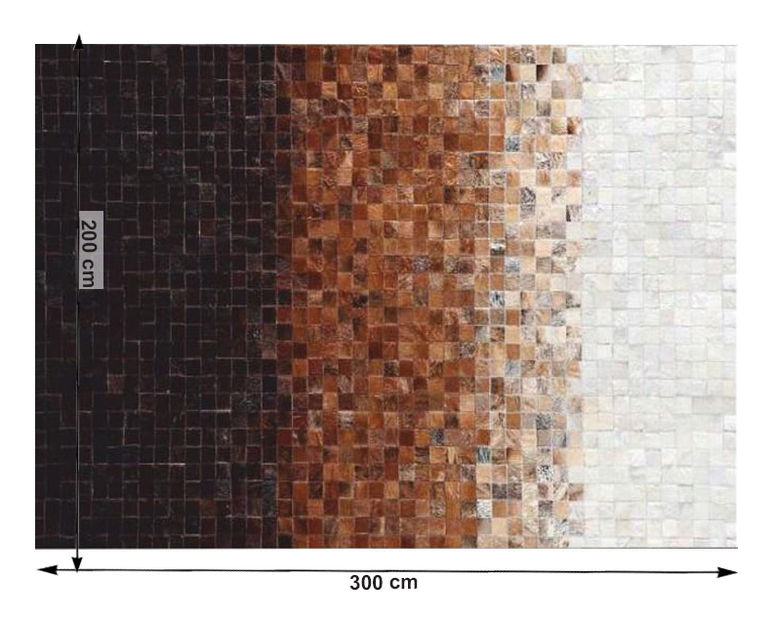 Kožený koberec 200x300 cm Kazuko TYP 07 (hovězí kůže + vzor patchwork)