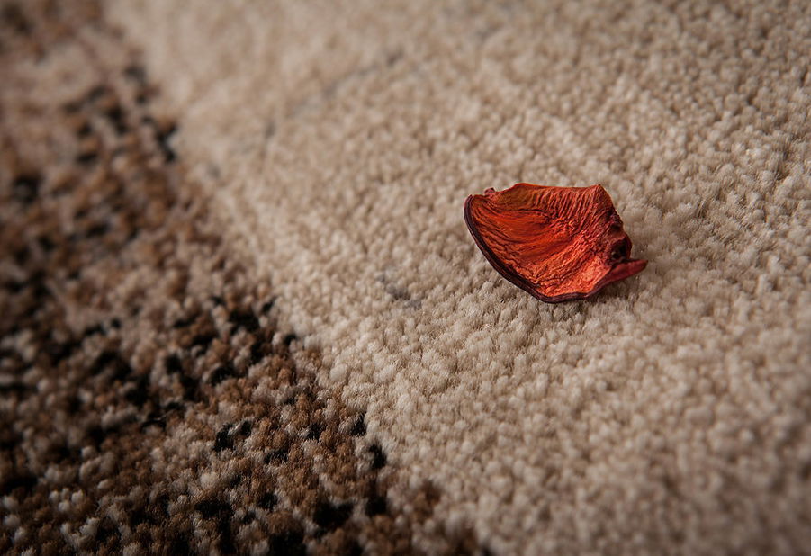 Kusový koberec Neo 332 Beige