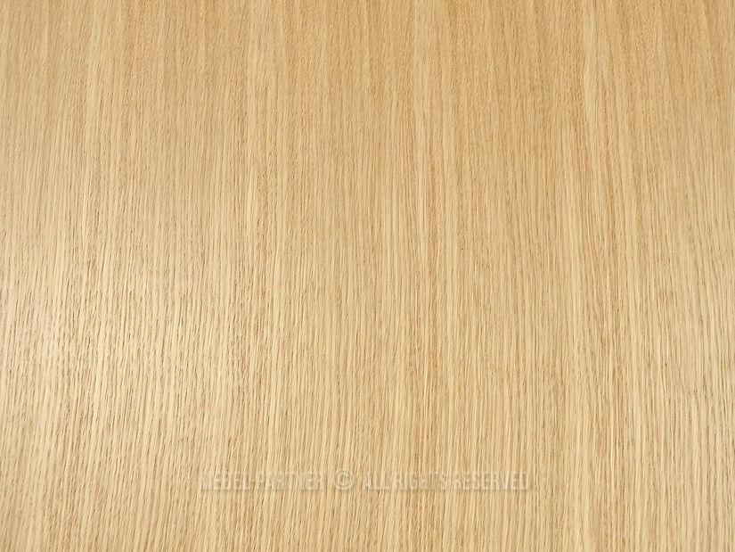 Jídelní stůl Trasladar (dub)