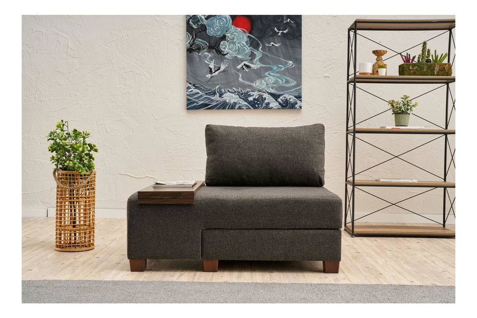 Rozkládací křeslo Perenilla L (L) (antracit + ořech)