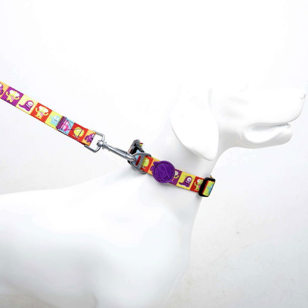 Vodítko pro psa Allia (vícebarevné) (M)