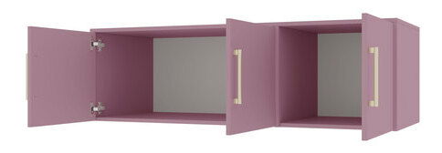 Šatní skříň s nástavbou Lenona II D3 (švestka + zlatá) (se zrcadlem)