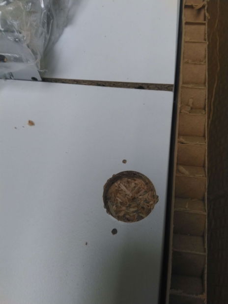 TV stolek/skříňka Damien (bílá + ořech světlý) *bazar