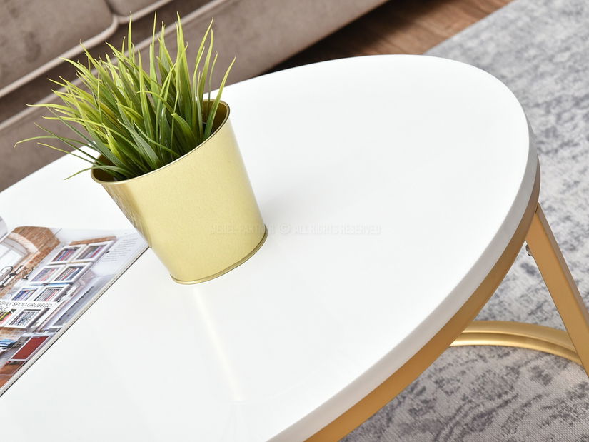 Konferenční stolek Kolja Zest Xl (bílá + zlatá + černá)