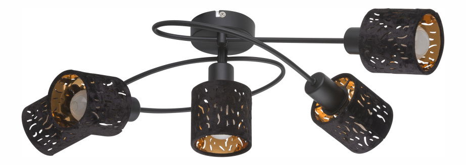 Bodové svítidlo (spoty) Troy 54121-5