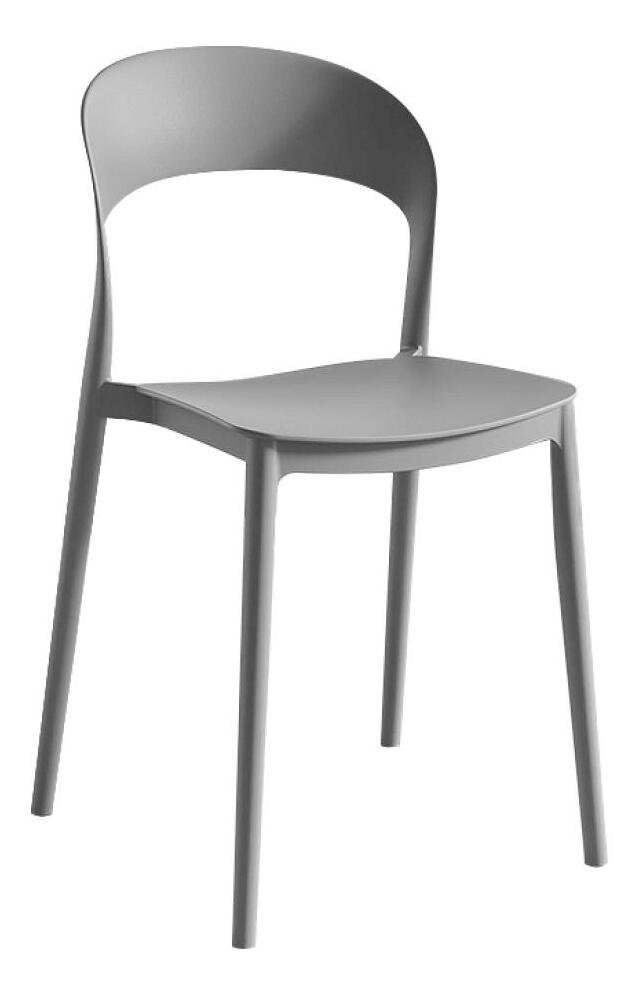 Jídelní židle Recibir (šedá)