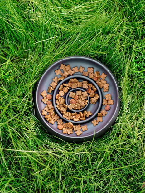 Miska pro domácí zvíře Bestie (černá)