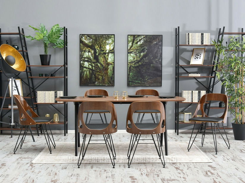 Židle Alik (ořech tmavý + černá)