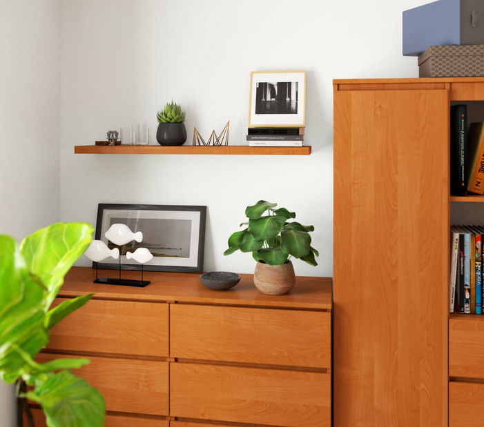 Polička Pietro (olše)