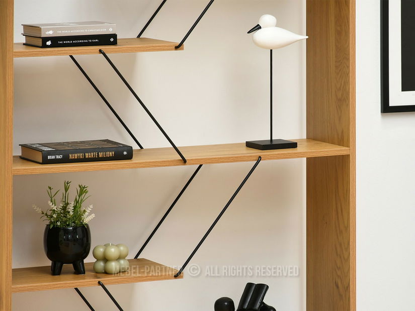 Obývací stěna Healey 2 (dub + černá)