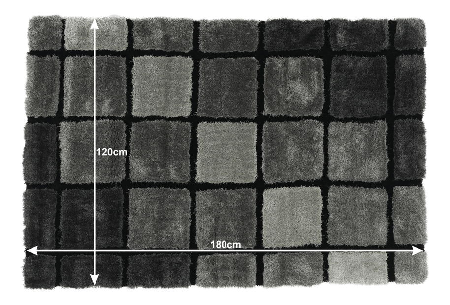 Koberec (120 x 180 cm) Leonard typ 2