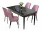 Jídelní set Nilla 1 (ořech barokní + růžová) (pro 4 osoby)