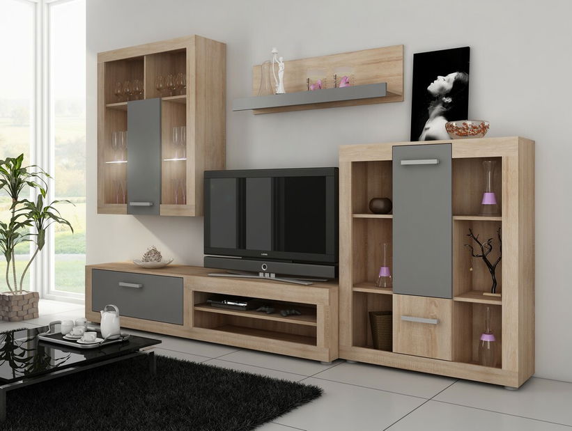 Obývací stěna Viki 4