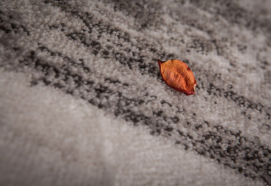 Kusový koberec Neo 330 Silver