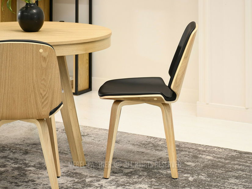 Jídelní židle Vicisitudes (černá + dub)