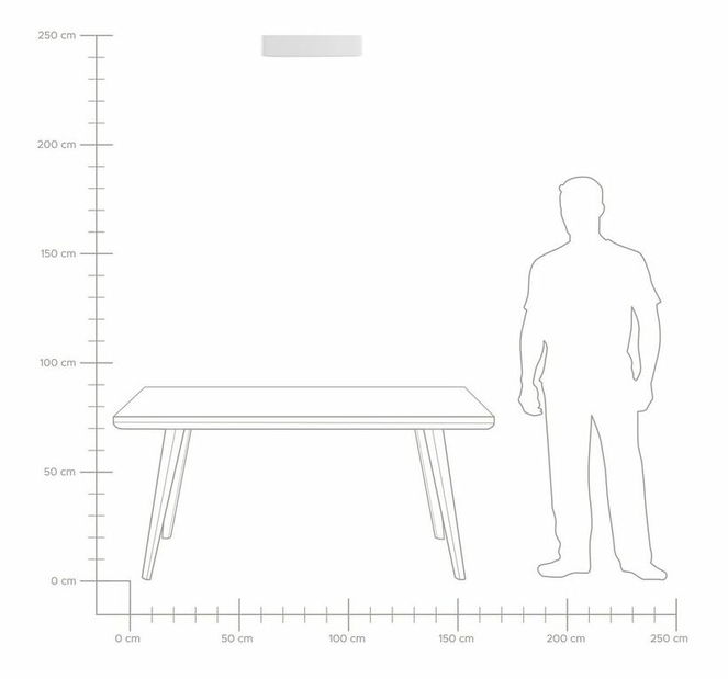 Stropní svítidlo Betzaida (bílá)