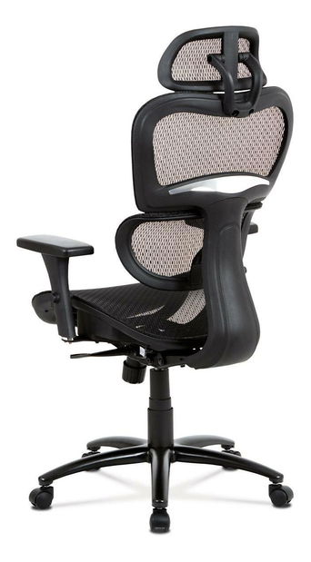 Kancelářské křeslo Analizan (černá)