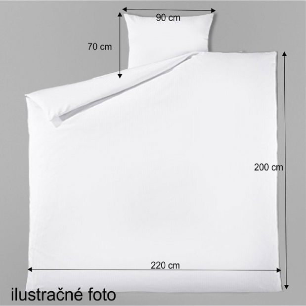 Polštář 2ks. a přikrývka Susanna 220x200