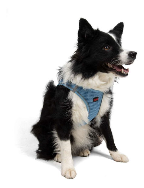 Postroj pro psa Airy (hnědá) (XS)