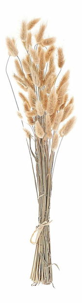Kytice sušených květin Sixta (přírodní)
