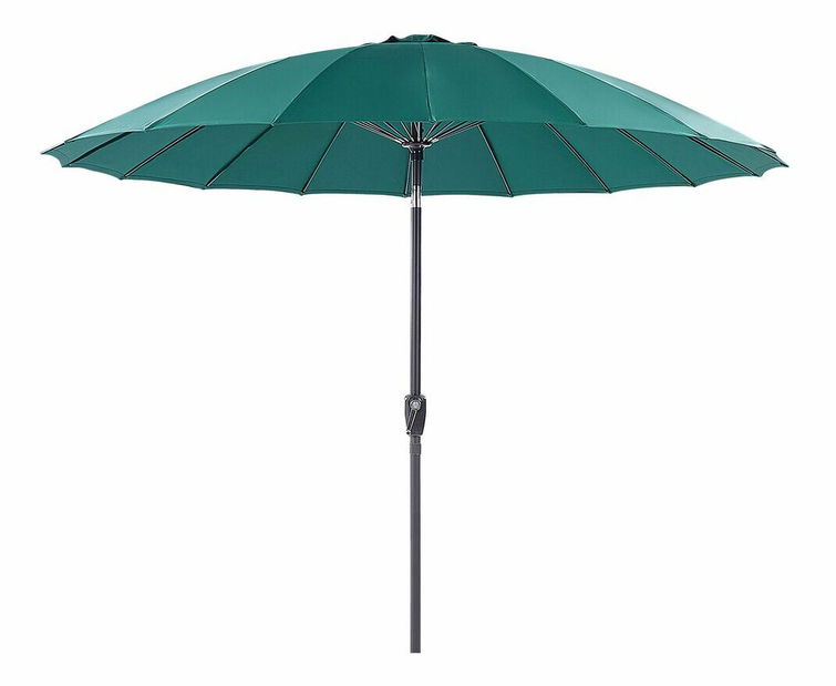 Slunečník Birma (zelená)