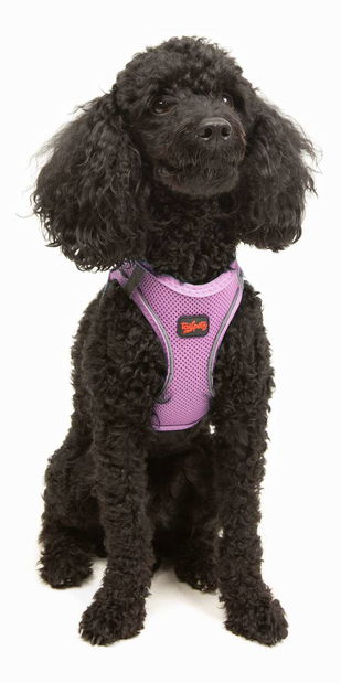 Postroj pro psa Airy (žlutá) (XS)