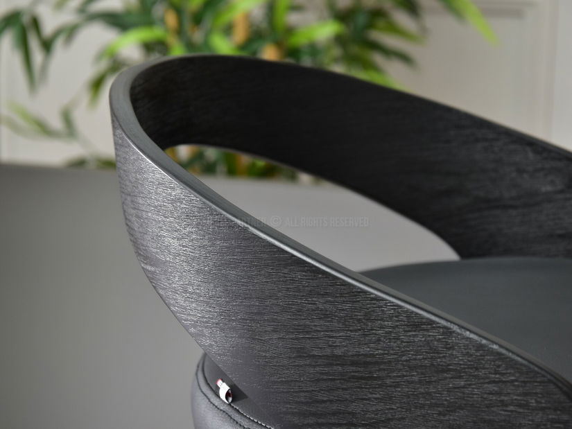 Židle Haime (černá)