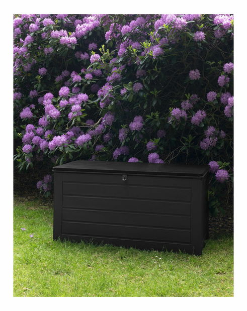 Úložný box Dorseliaia 1 (černá)